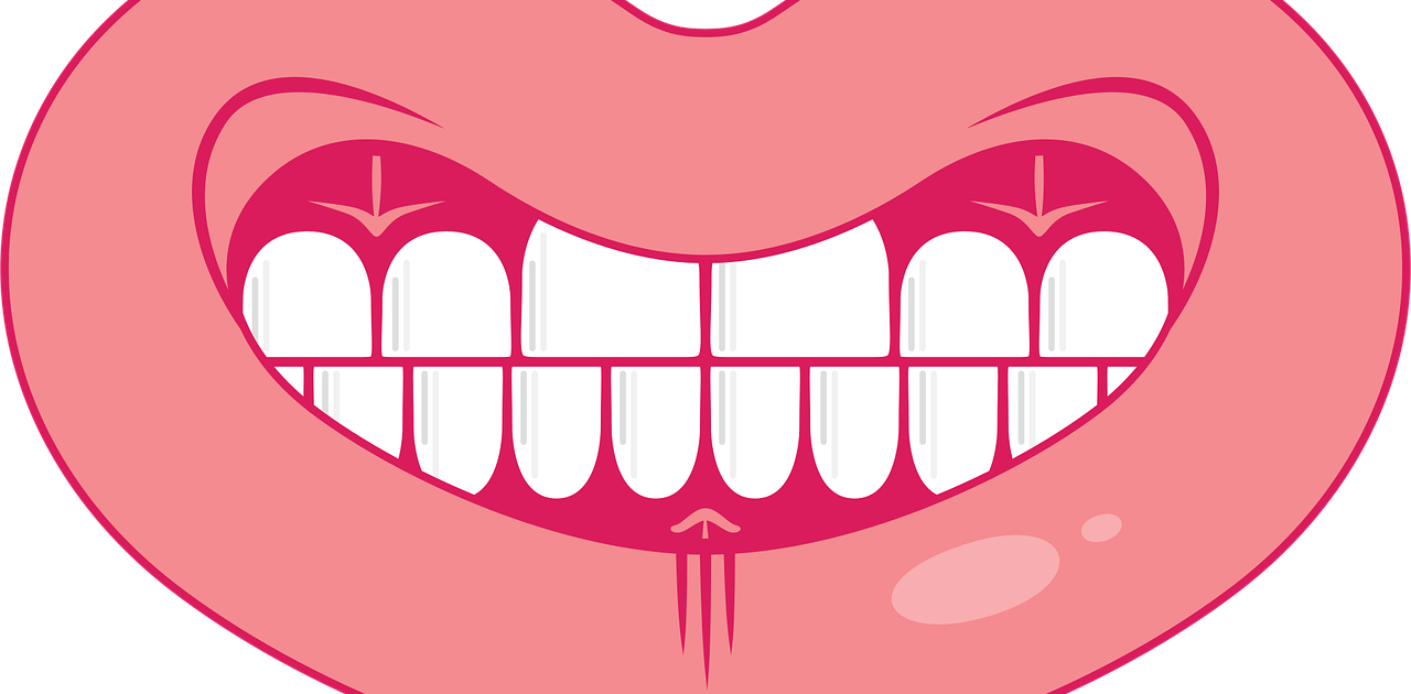 papkok-grin-4679960_1280 Zahnfleisch